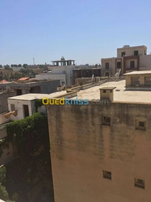 Location Appartement Duplex F6 Alger Dely brahim