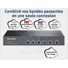 Le routeur TP-Link TL- R 480 T+