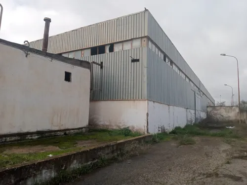 Location Hangar - Usine Médéa Berrouaghia