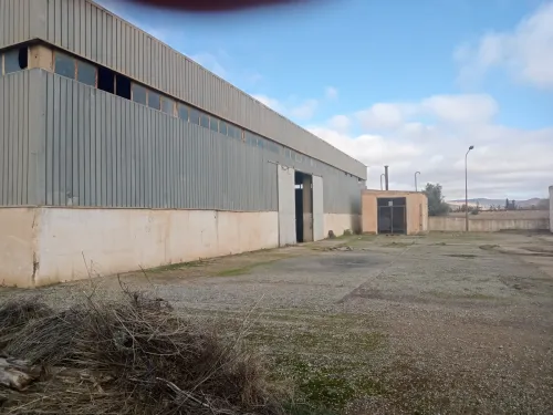 Location Hangar - Usine Médéa Berrouaghia