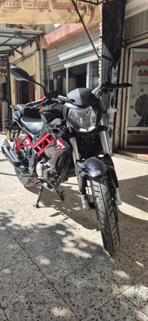 Benelli TNT 2022