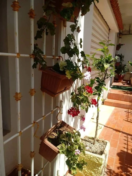 Vente Villa Jijel Jijel