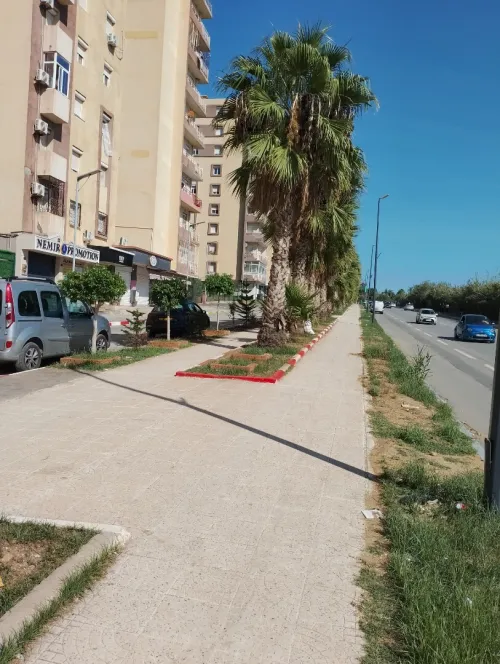 Location Local Alger Bordj el bahri