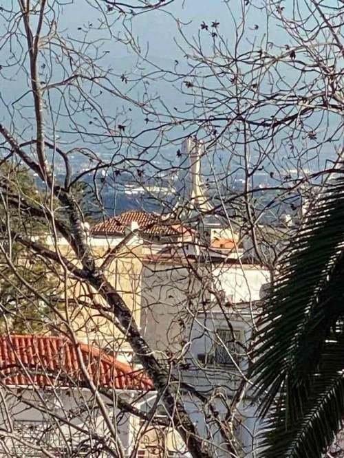 Location Villa Alger El biar