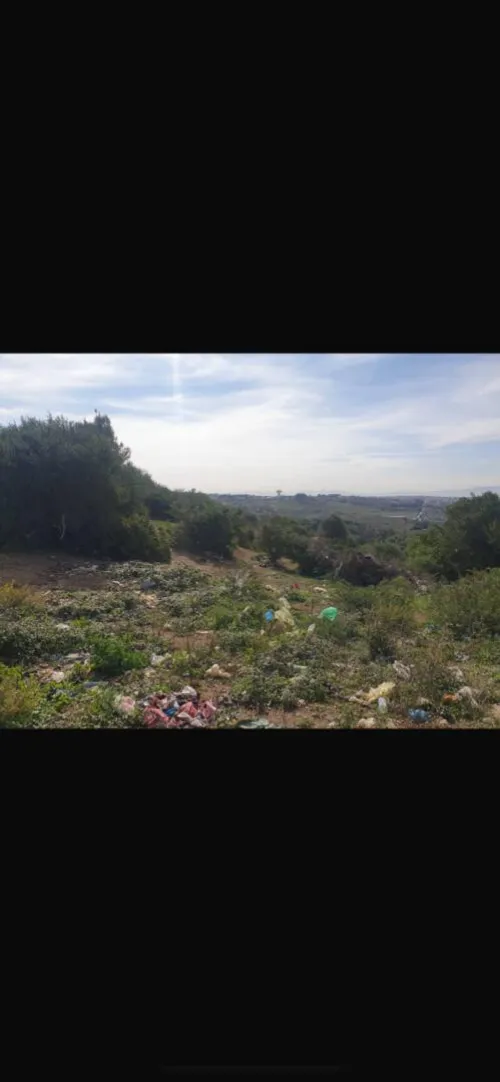 Vente Terrain Alger Beni messous