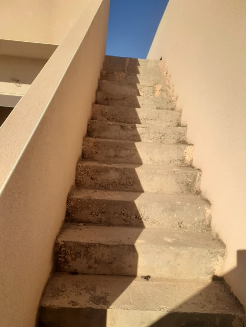 Vente Appartement F3 Alger Cheraga