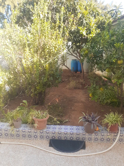 Location Villa Alger Ouled fayet