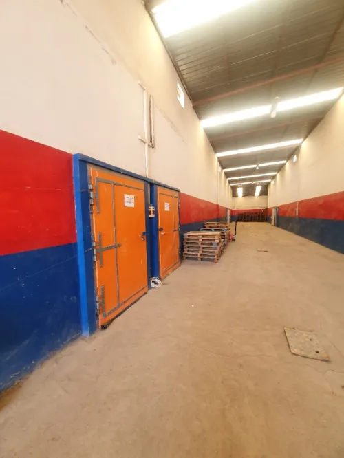 Vente Hangar Alger Les eucalyptus