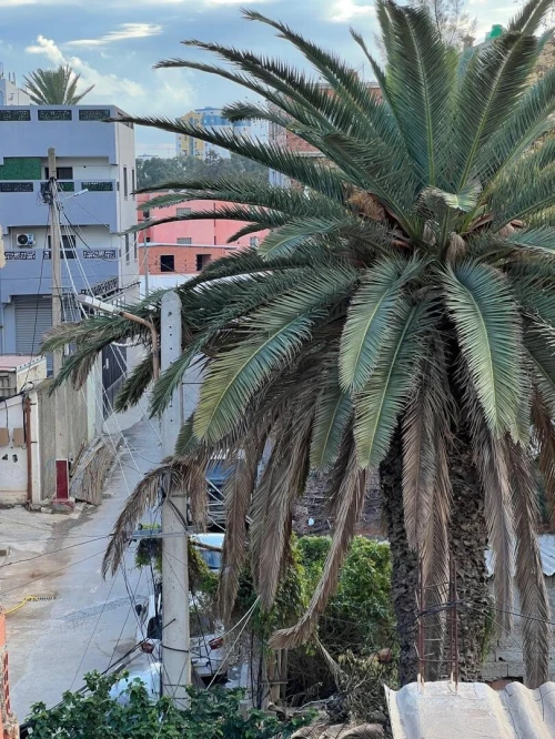 Vente Villa Alger Bab ezzouar