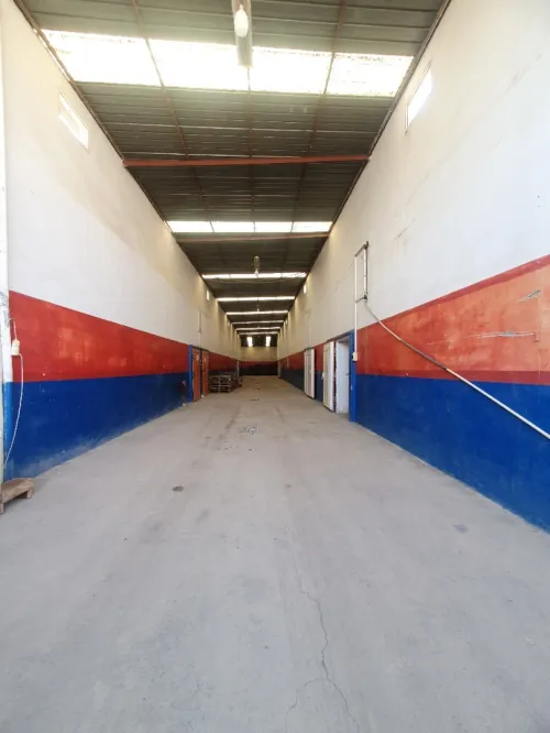 Vente Hangar Alger Les eucalyptus