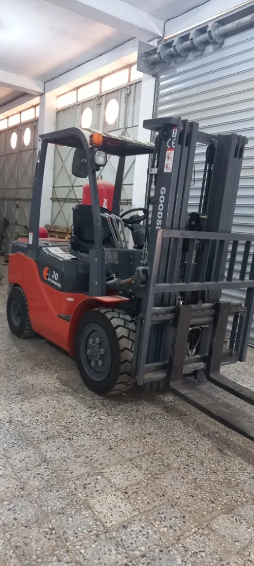 GOODSONSE FD30 2023