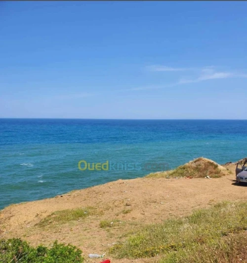 Vente Terrain Tipaza Cherchell