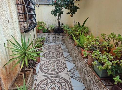 Vente Villa Alger Hammamet