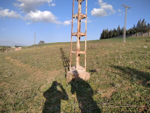 Vente Terrain Aïn Defla Hoceinia