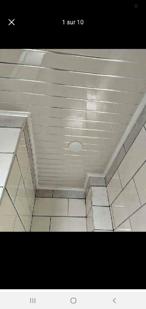 Travis faux plafond pvc Et plako plat