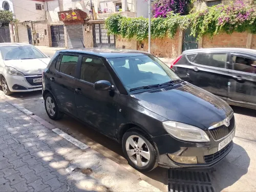 Skoda Fabia 2014 Fresh