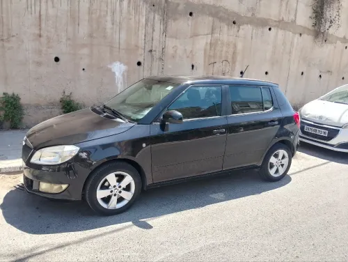 Skoda Fabia 2014 Fresh