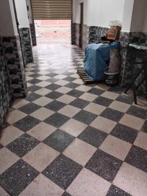 Vente Villa Alger Tessala el merdja
