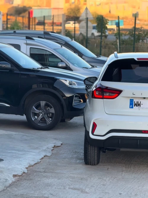 Livan X3 Pro  2025 