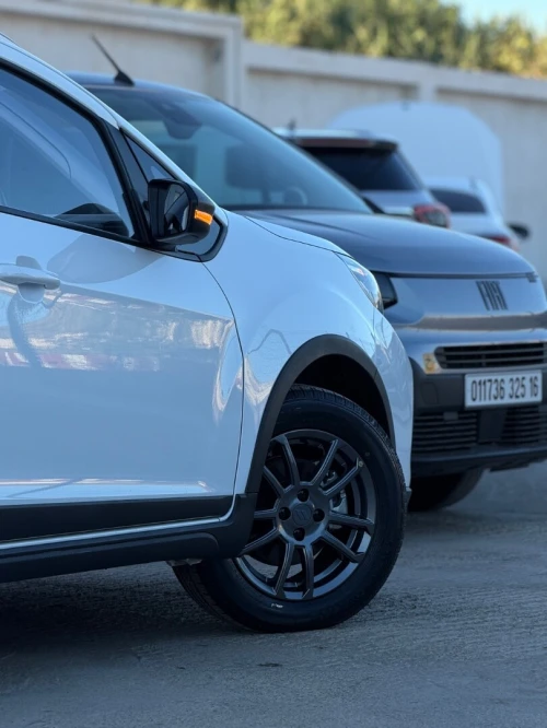Livan X3 Pro  2026 Automatique (Avec toi ouvrant )