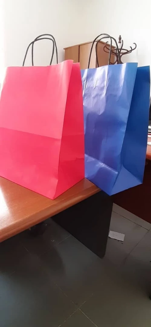 Sac de shopping
