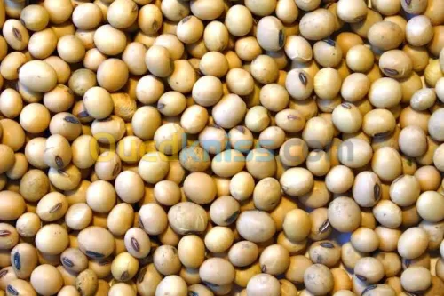 Farine de soja, mais et ris pour les croquettes chat et chien