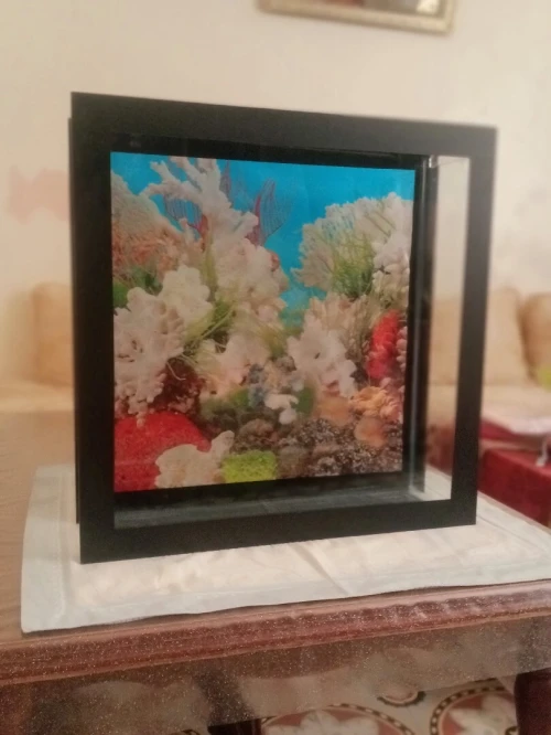 Aquarium de poisson 55,5cm  55,5cm