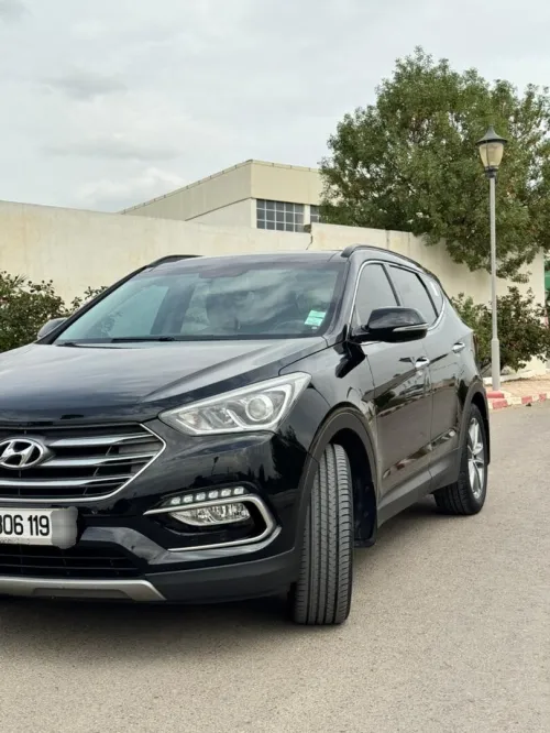 Hyundai SantaFe 2019 SantaFe