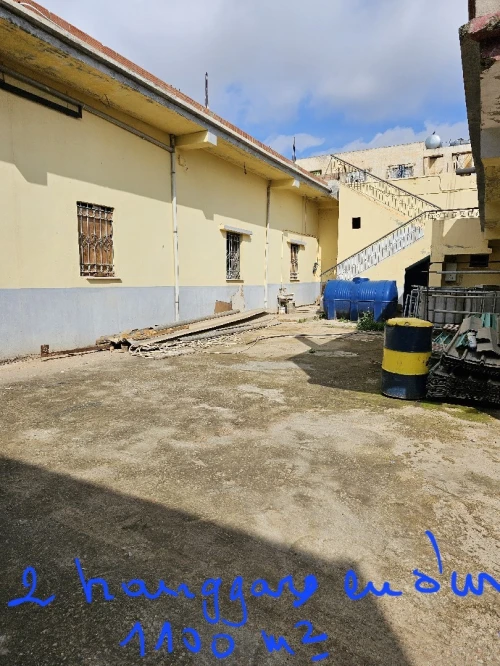 Vente Immeuble Chlef Chettia