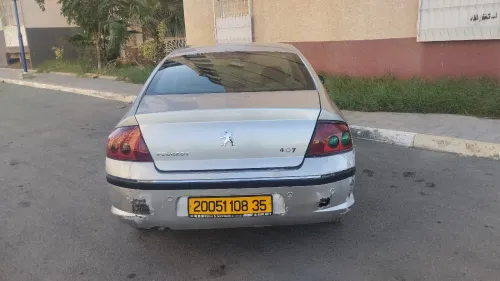 Peugeot 407 2008 407