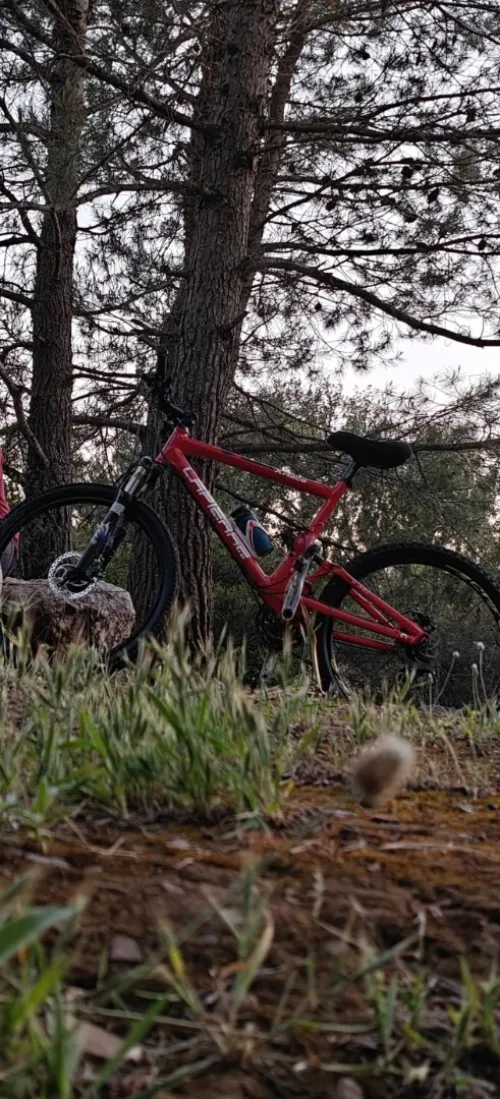 La pierre L 27.5