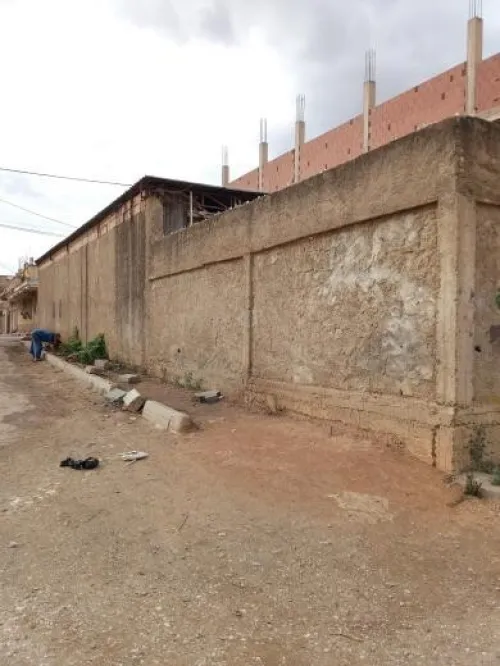 Location Local Tipaza Sidi amar