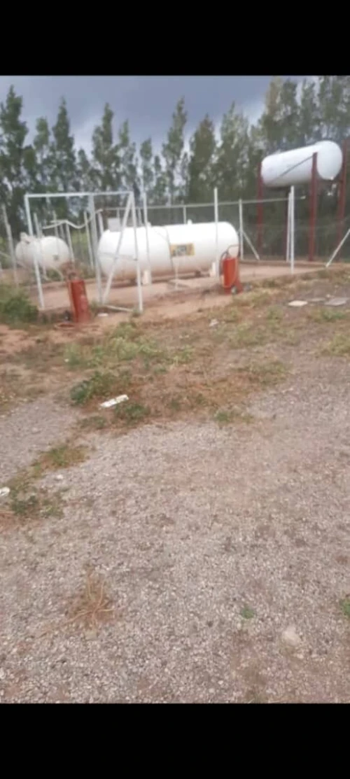 Vente Terrain Agricole Tiaret Mahdia