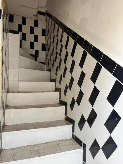 Location Appartement Niveau de villa Studio Blida Blida