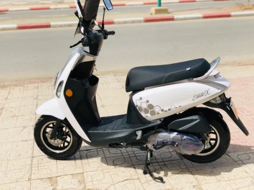 Vms Cuxi estate x 2025
