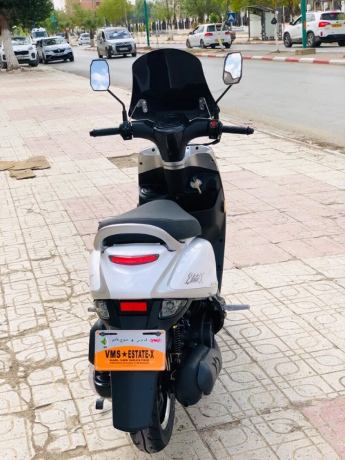 Vms Cuxi estate x 2025