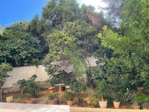 Location Appartement F3 Alger Alger centre 23