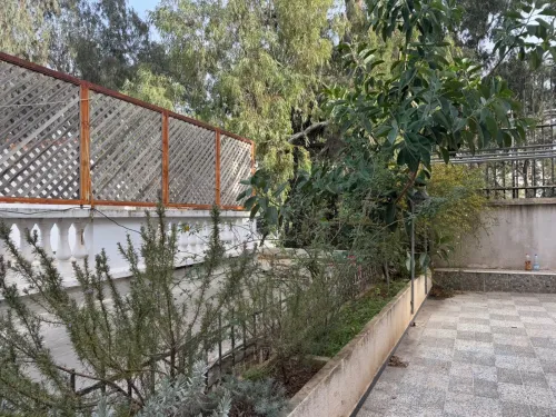 Vente Alger Hydra