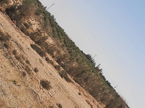 Vente Terrain Agricole Msila Bou saada