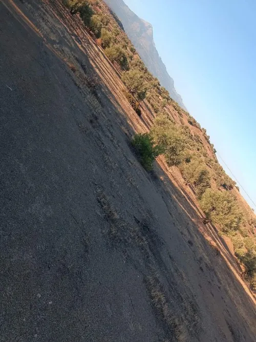 Vente Terrain Bouira El adjiba