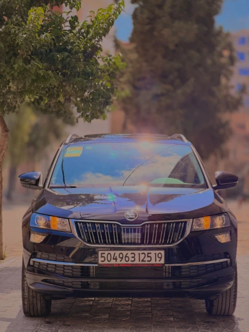 Skoda Karoq 2025 Sportline