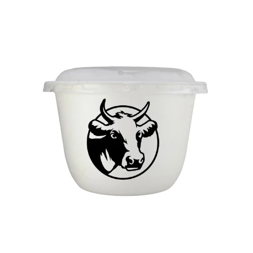 Fromage à tartiner à base de lait de vache Nature