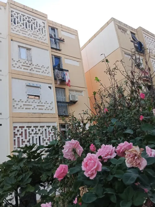 Vente Appartement F3 Constantine El khroub