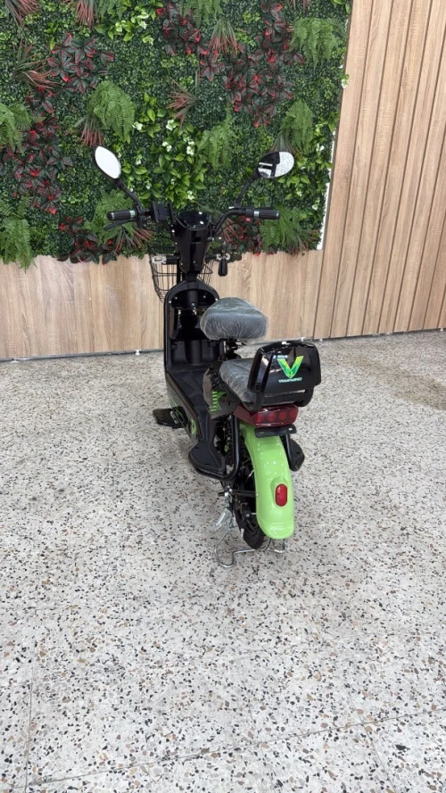 Votride Voltride 