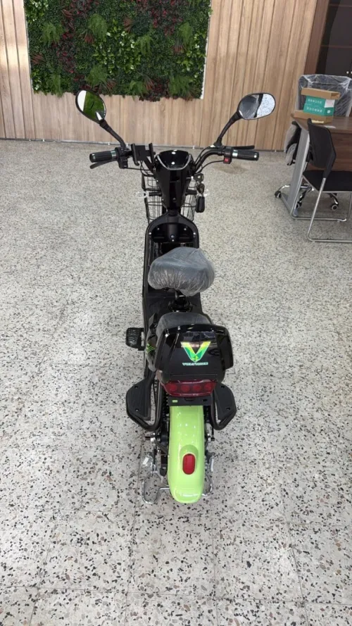 Votride Voltride 