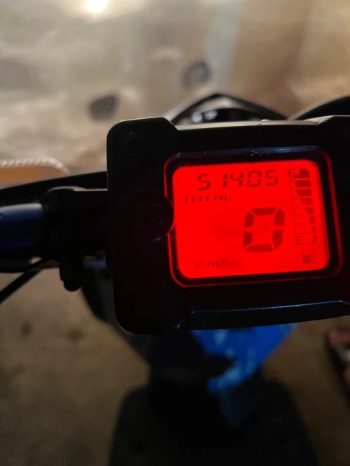 Yamaha Stant 2019