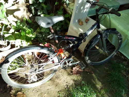 Vélo Shimano VTT Original
