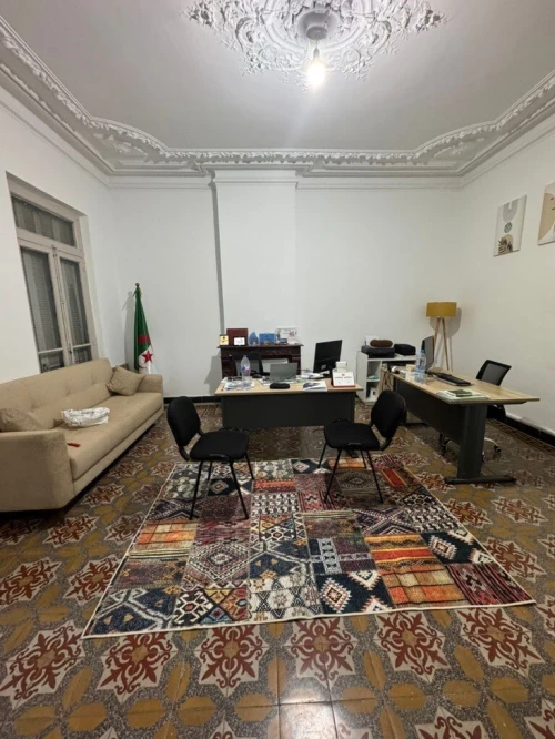Location Local Alger Alger centre
