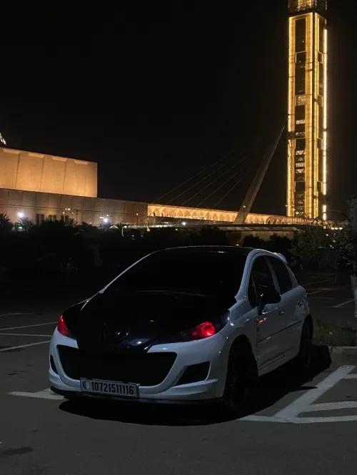 Peugeot 207 2011 207