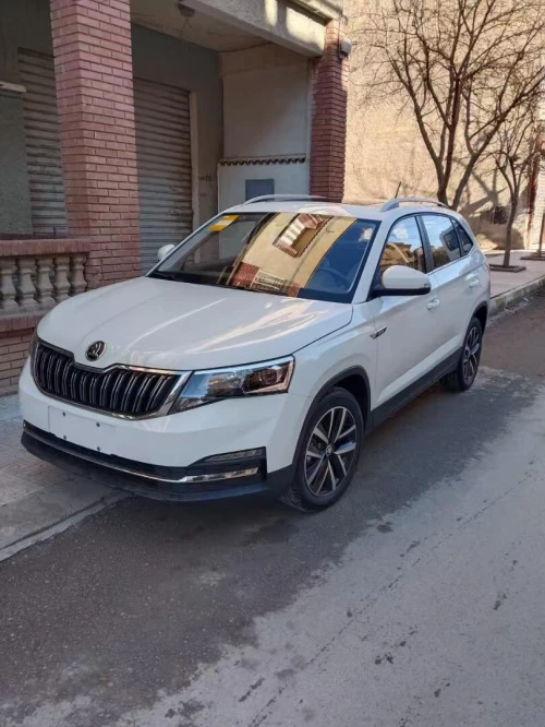 Skoda Kamiq 2025 BLANCHE METALLISEE